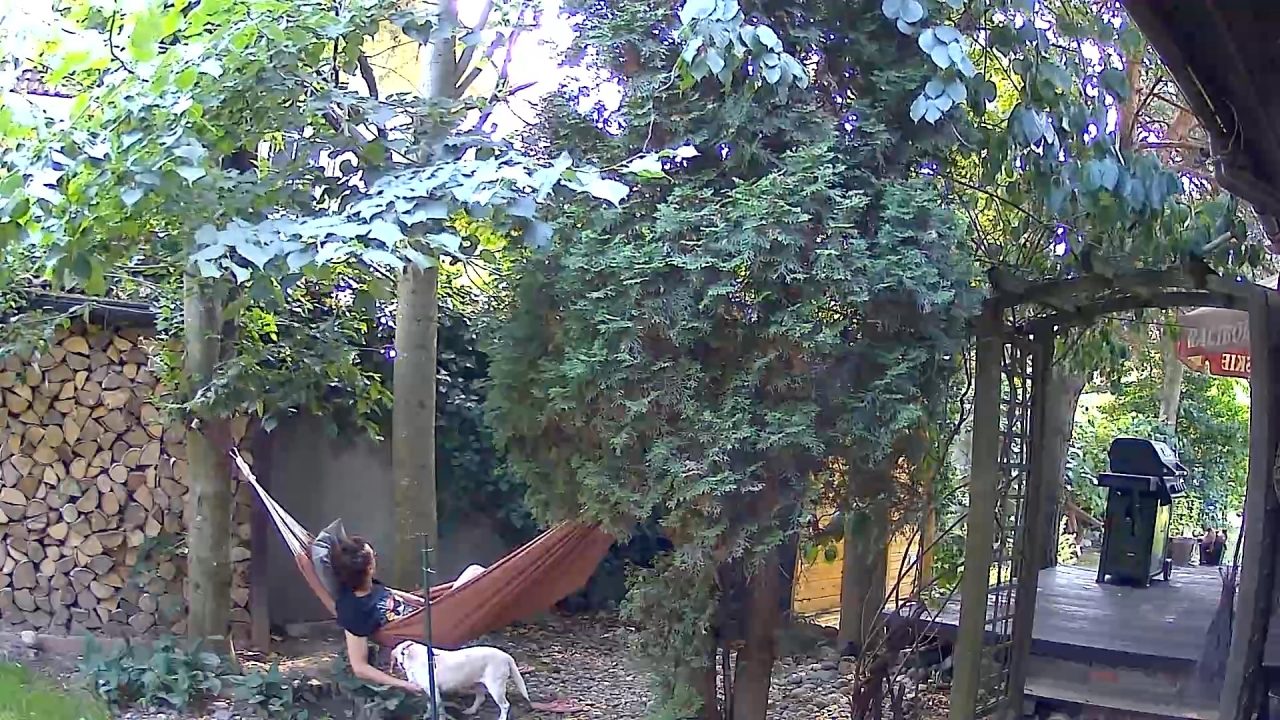 Obraz z kamery Sonoff Cam Pan Tilt 2